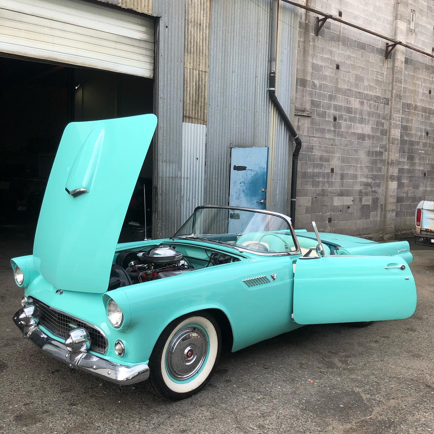 photo of a teal thunderbird